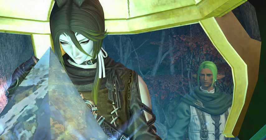 i think this weird guy from the forest i found has brain damage. he's been staring directly at the aetheryte shard for half a bell now. i dont think he'/s blinking.